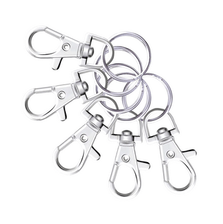 Screenshot 2024 11 19 at 23 13 39 30pcs Metal Swivel Lanyard Snap Hooks and Split Key Rings Chain Hook Keychain for DIY Key chain Making AliExpress 36