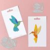 Troquel Colibrí - Thumbnail Image 2