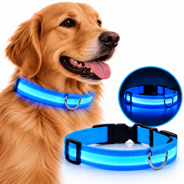 Collar LED Azul